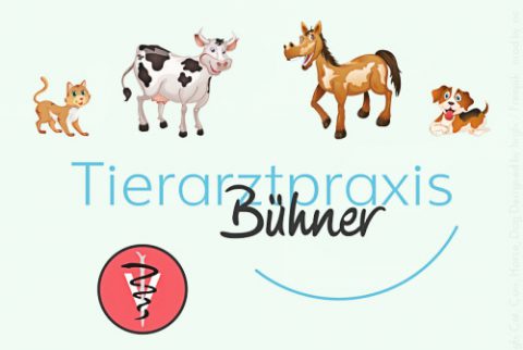 img_tierarztpraxis-buehner_LogoKid