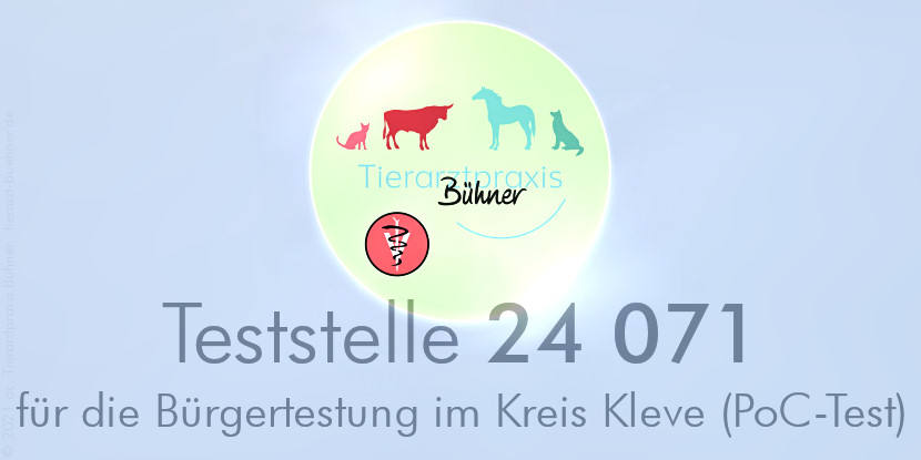 tierarztpraxis-buehner_buergertestung